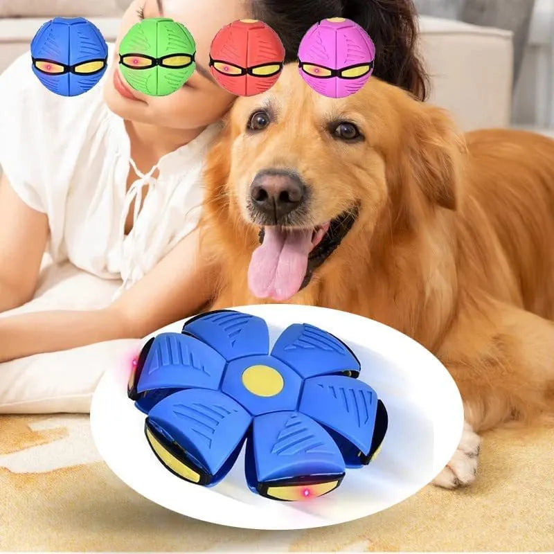 Vliegende speelbal voor Honden🐶