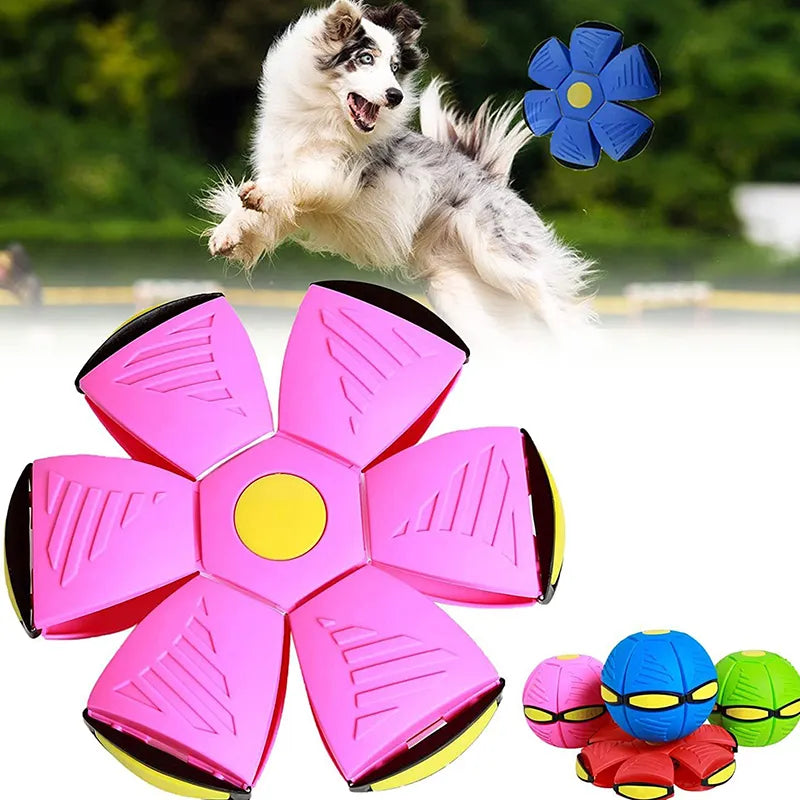 Vliegende speelbal voor Honden🐶
